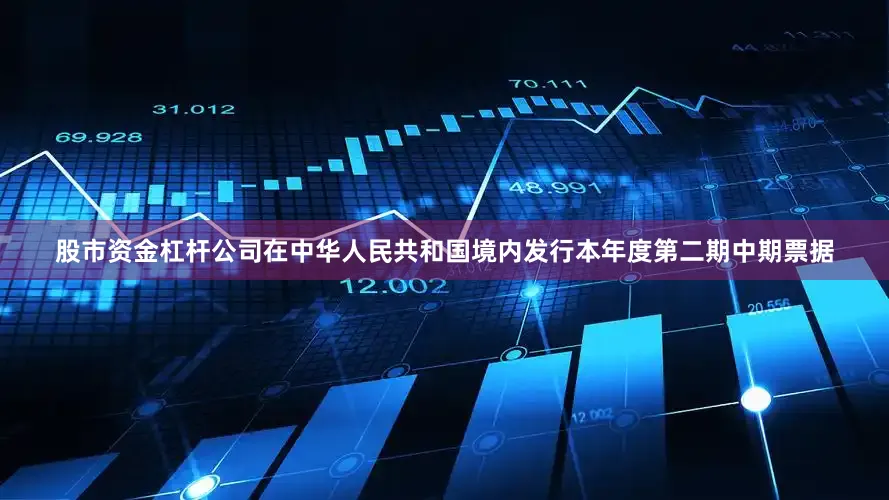 股市资金杠杆公司在中华人民共和国境内发行本年度第二期中期票据