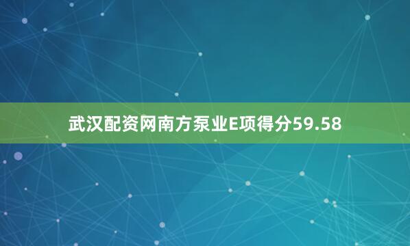 武汉配资网南方泵业E项得分59.58