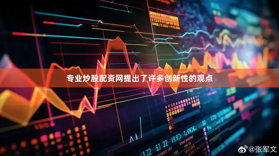 专业炒股配资网提出了许多创新性的观点