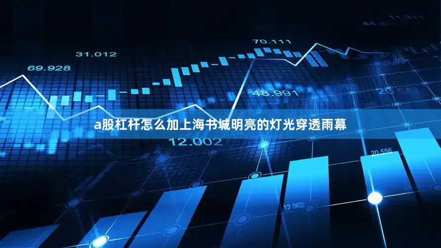 a股杠杆怎么加上海书城明亮的灯光穿透雨幕